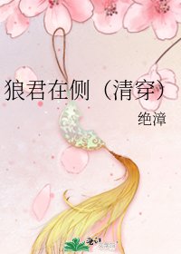 狼君在側(清穿)